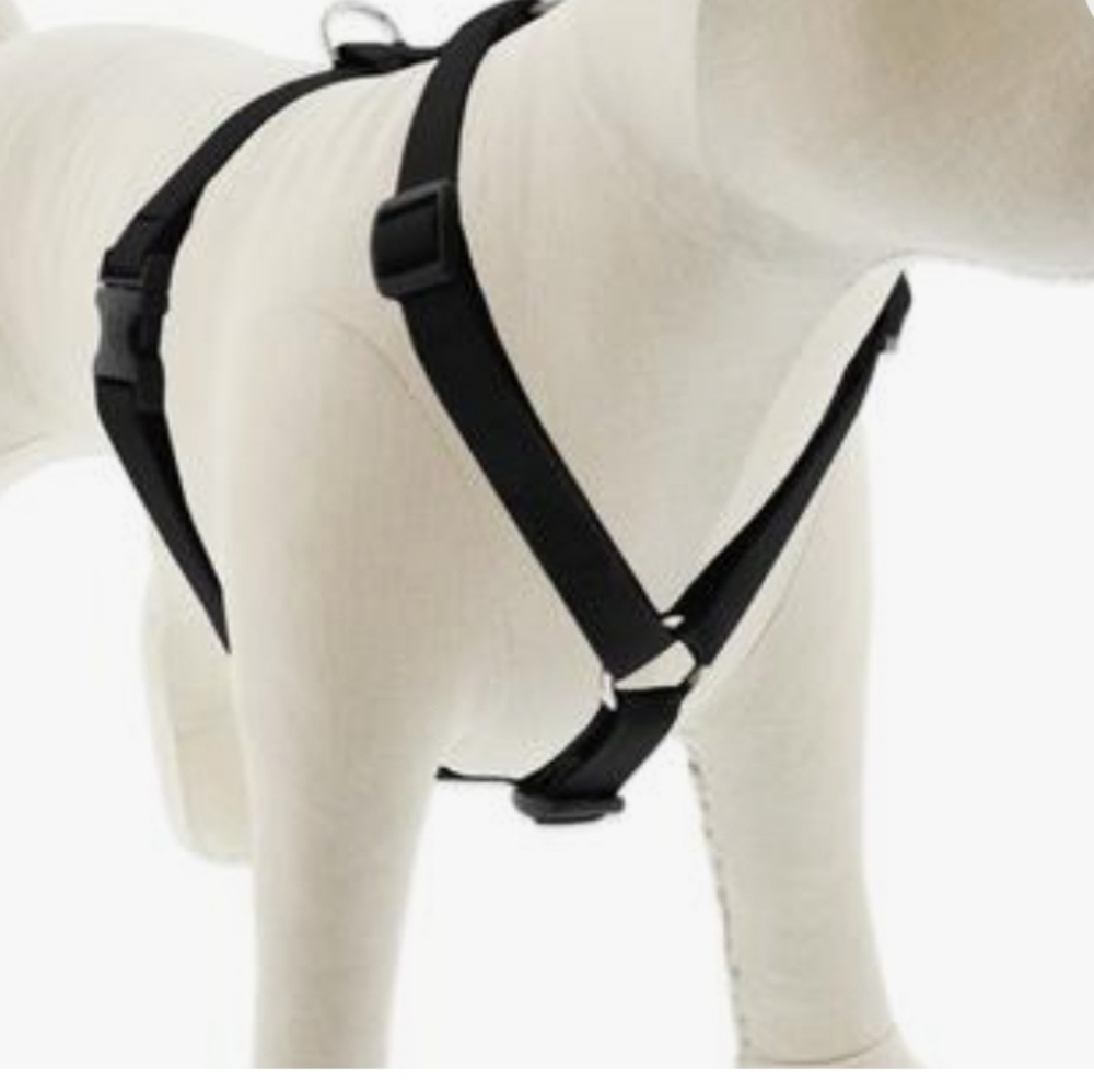 Harness & Leash XL Dog Set NEW